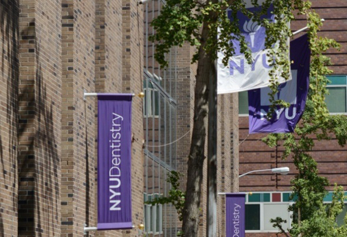 Purple flags on outside of building that read N Y U Dentistry
